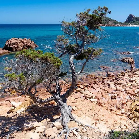 Le Corti Sarde Countryside * 바리사르도