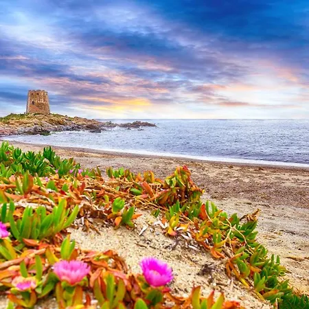 Le Corti Sarde Countryside